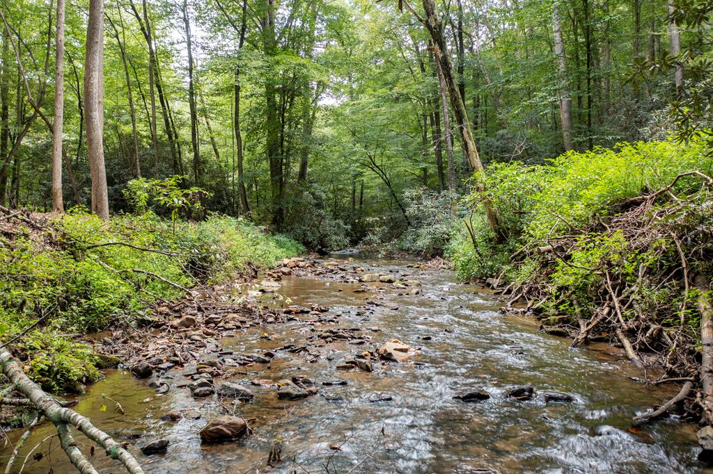 1034 Chestnut Flts Road Andrews, NC 28901 - Photo 17 of 43 a view of outdoor space and garden