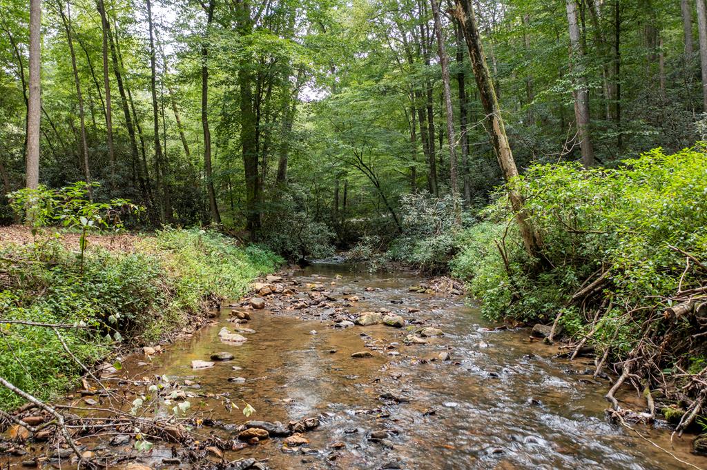 1034 Chestnut Flts Road Andrews, NC 28901 - Photo 19 of 43 a view of a forest with trees in the background