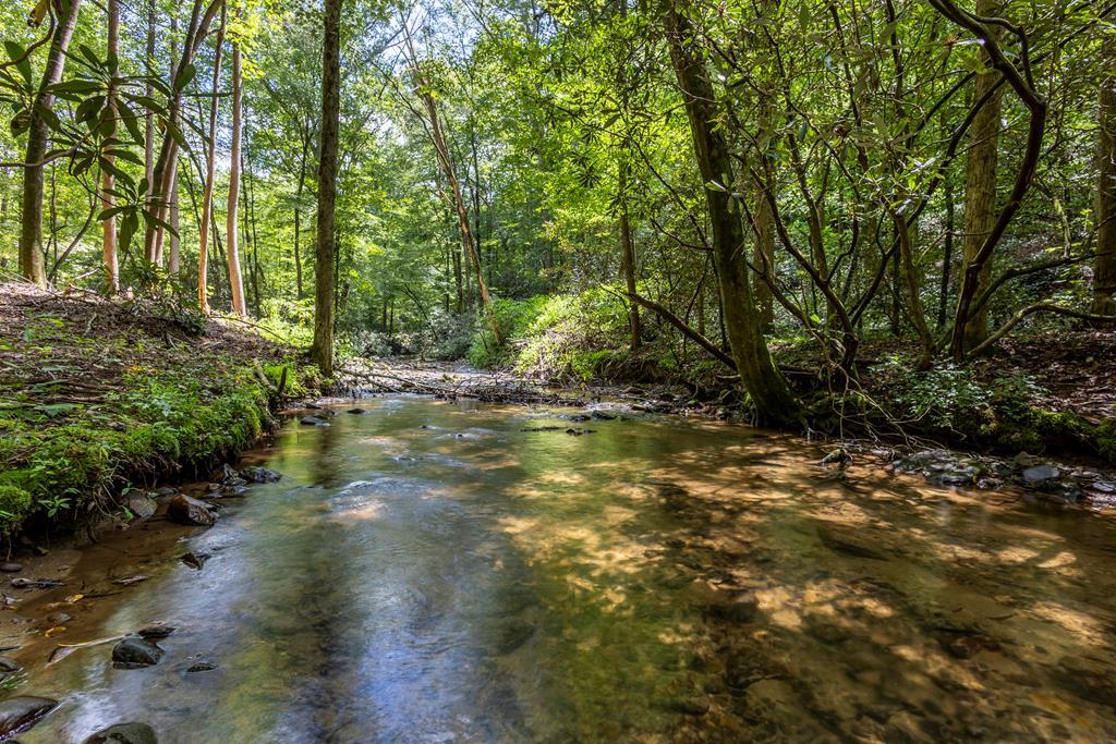 1034 Chestnut Flts Road Andrews, NC 28901 - Photo 2 of 43 a view of outdoor space and yard