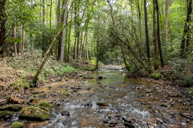 a view of backyard with green space