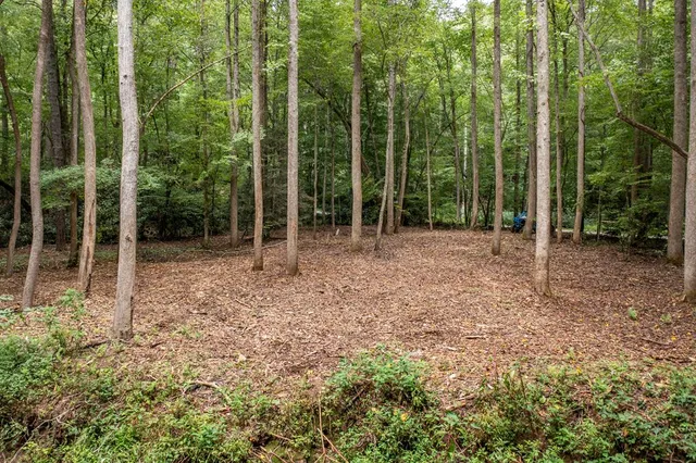 a view of outdoor space with trees