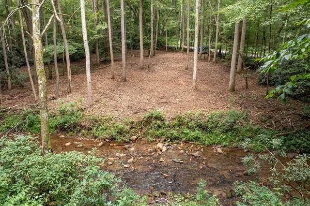 a garden with lots of trees