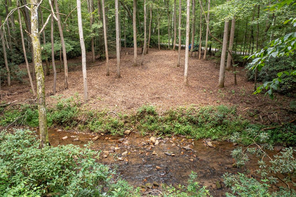 1034 Chestnut Flts Road Andrews, NC 28901 - Photo 25 of 43 a garden with lots of trees