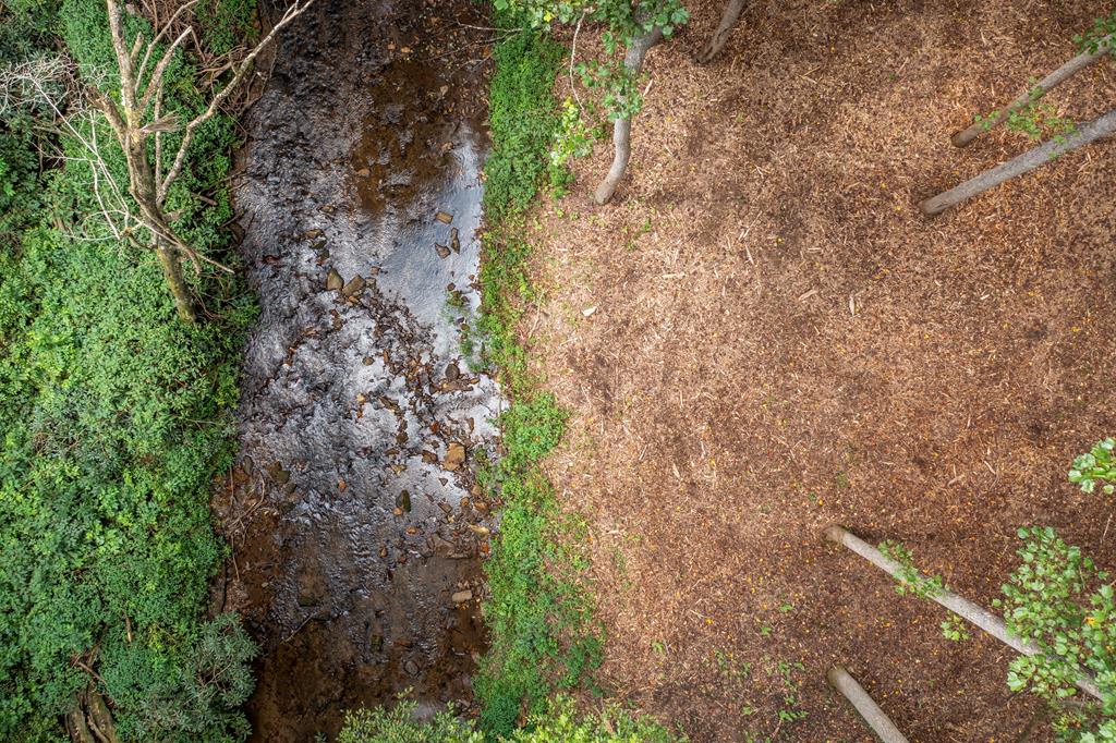 1034 Chestnut Flts Road Andrews, NC 28901 - Photo 26 of 43 a backyard of a house with lots of green space