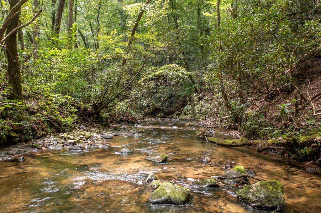 1034 Chestnut Flts Road Andrews, NC 28901 - Photo 27 of 43 a view of a yard with a tree