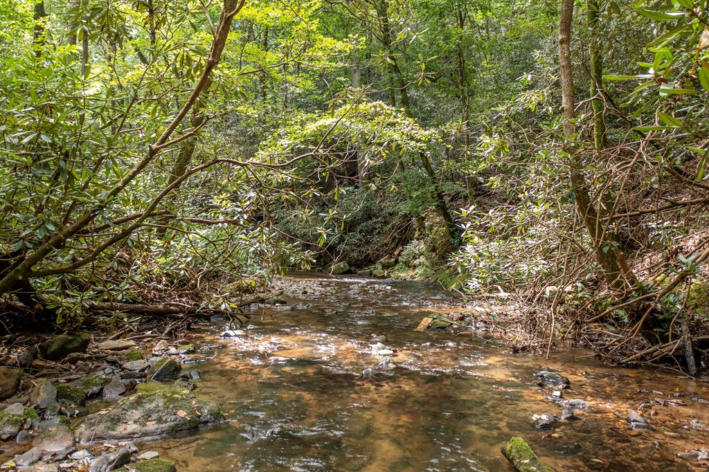 1034 Chestnut Flts Road Andrews, NC 28901 - Photo 28 of 43 a view of a yard with a tree