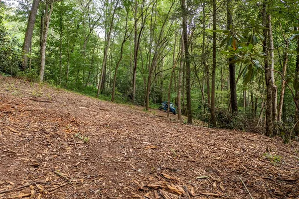 a view of road with trees