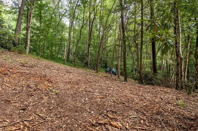 a view of road with trees