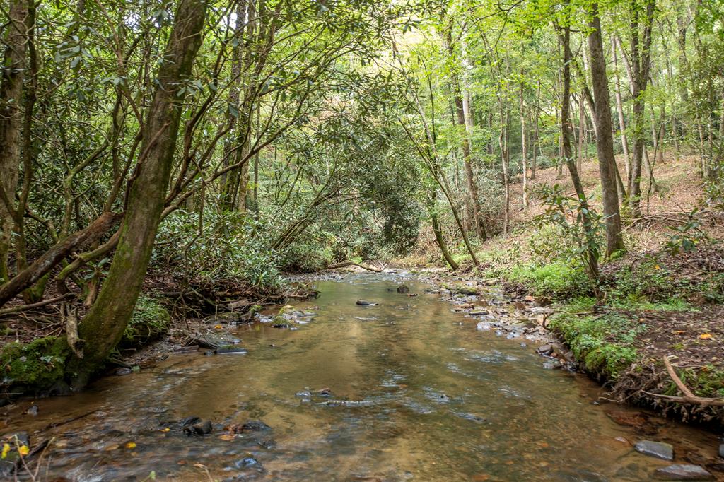 1034 Chestnut Flts Road Andrews, NC 28901 - Photo 3 of 43 a view of forest