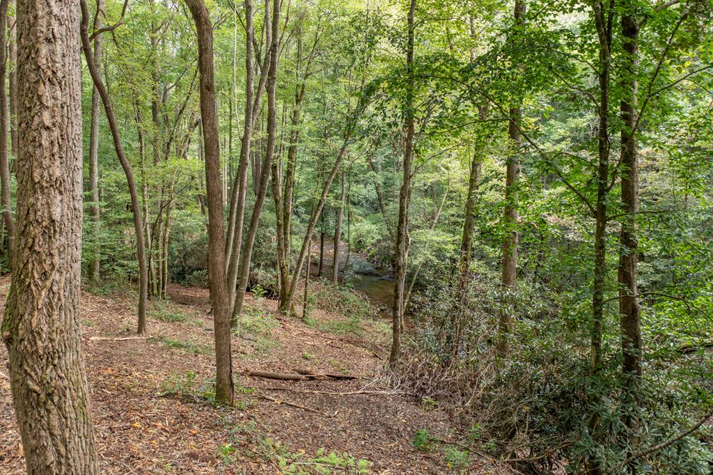 1034 Chestnut Flts Road Andrews, NC 28901 - Photo 31 of 43 a view of a forest