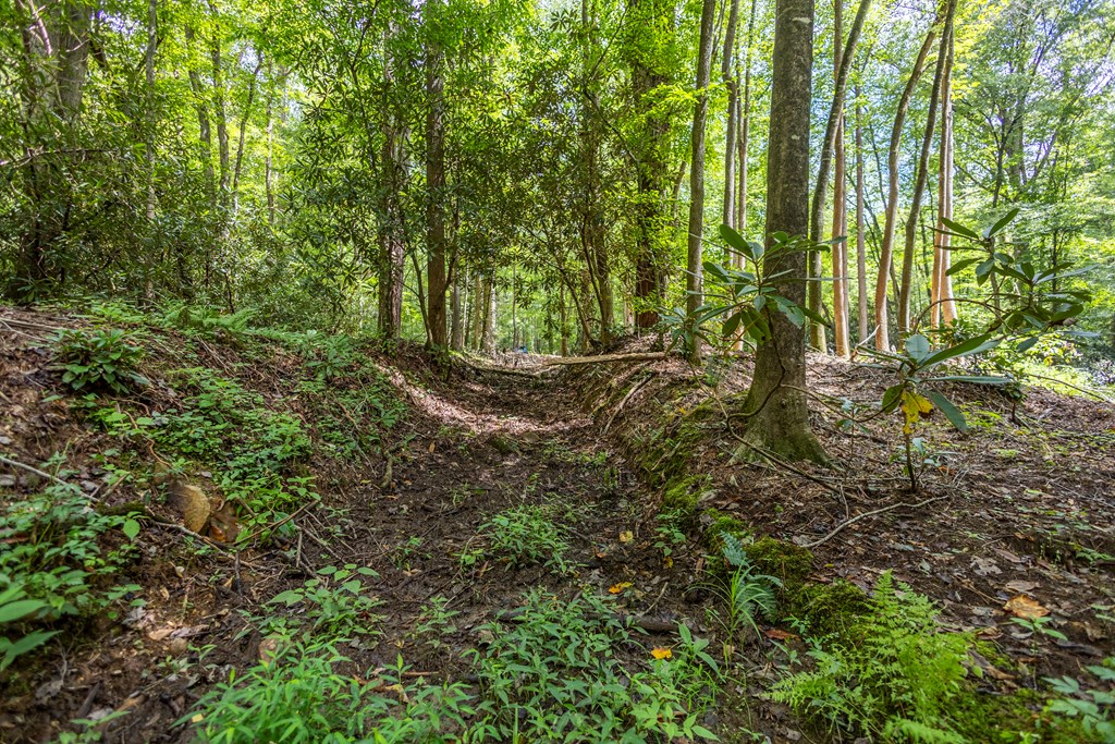 1034 Chestnut Flts Road Andrews, NC 28901 - Photo 33 of 43 a view of outdoor space and trees
