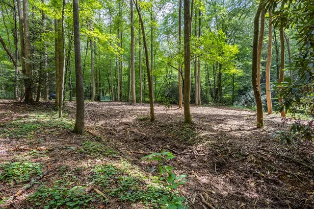 a view of outdoor space with green space