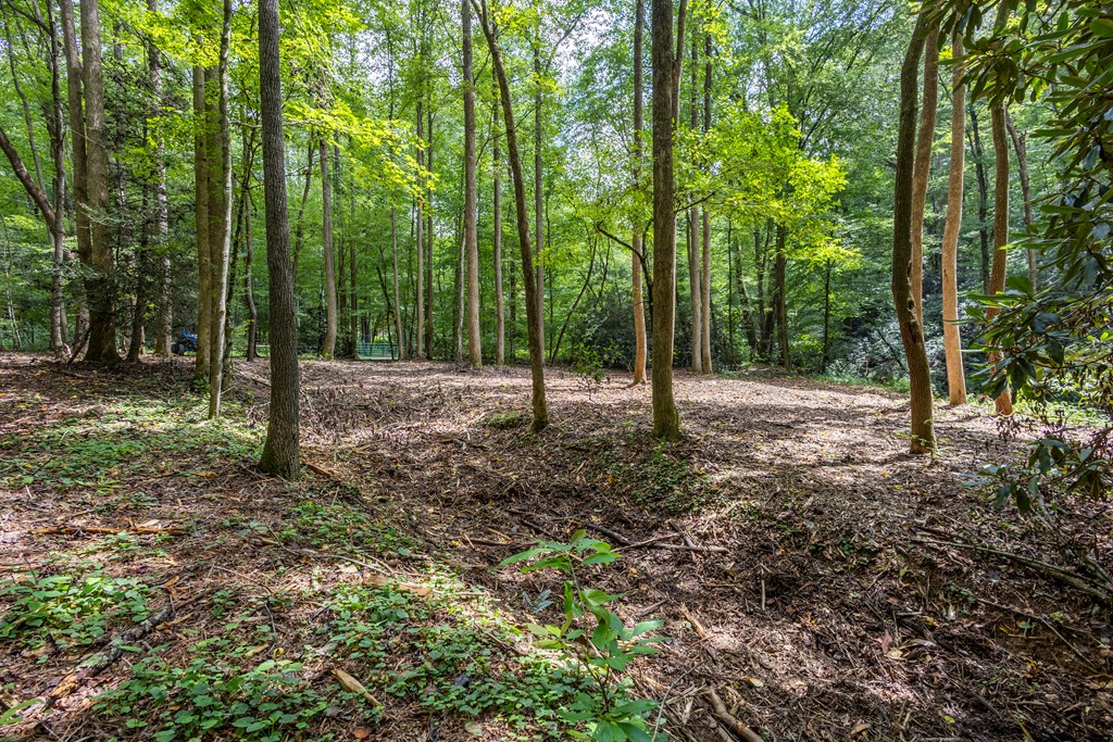 1034 Chestnut Flts Road Andrews, NC 28901 - Photo 35 of 43 a view of outdoor space with green space