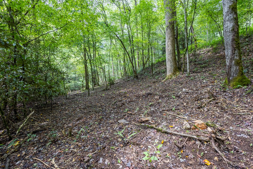 1034 Chestnut Flts Road Andrews, NC 28901 - Photo 37 of 43 a view of outdoor space and green space