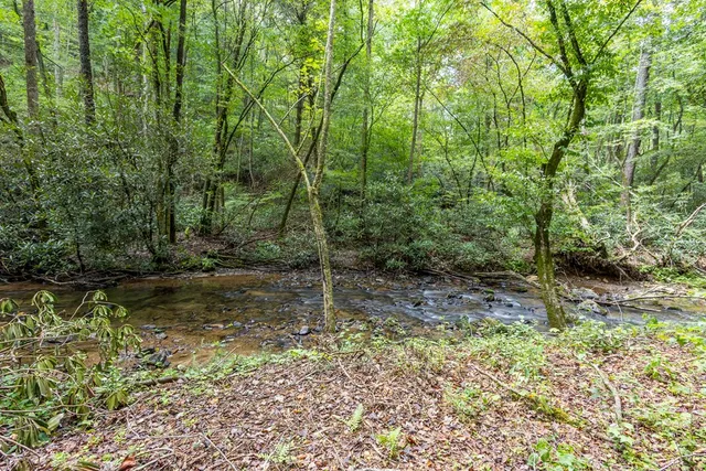 a view of a back yard