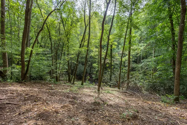 a view of outdoor space and green space