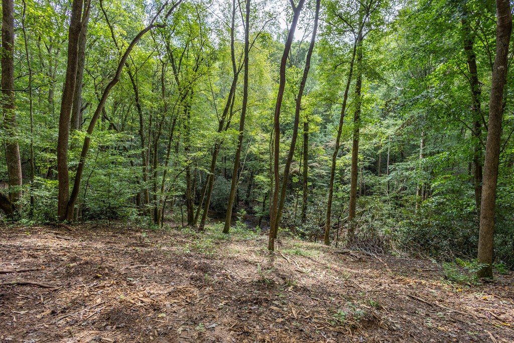 1034 Chestnut Flts Road Andrews, NC 28901 - Photo 40 of 43 a view of outdoor space and green space