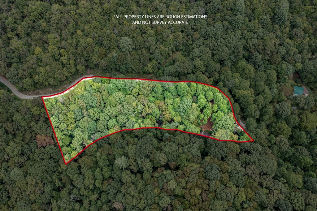 1034 Chestnut Flts Road Andrews, NC 28901 - Photo 4 of 43 a view of a garden