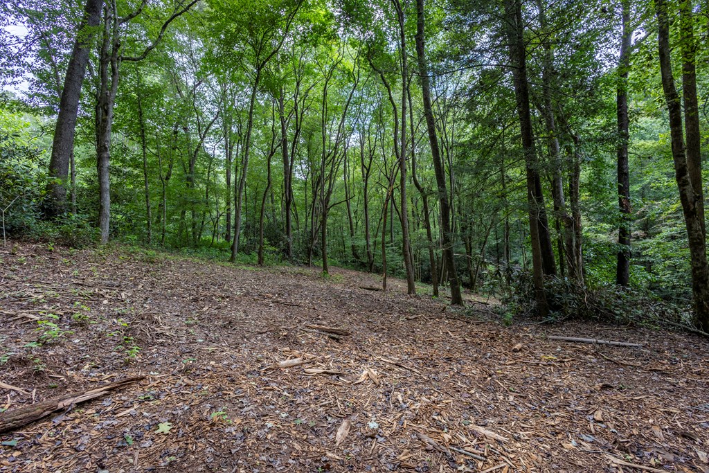 1034 Chestnut Flts Road Andrews, NC 28901 - Photo 42 of 43 a view of outdoor space and green space