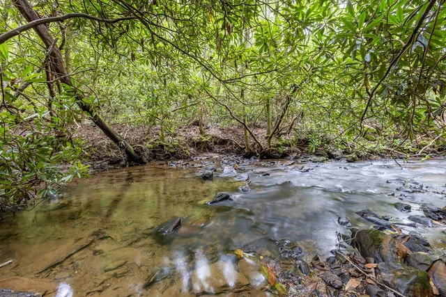 a view of swimming pool with a yard