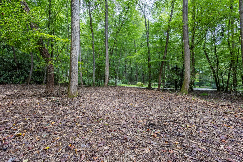 1034 Chestnut Flts Road Andrews, NC 28901 - Photo 5 of 43 a view of outdoor space and green space
