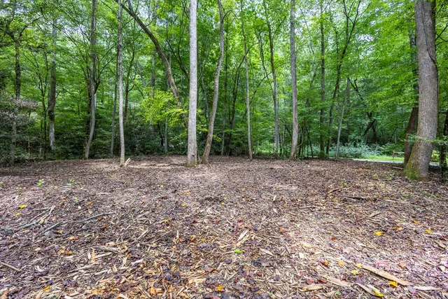 a view of outdoor space with trees all around