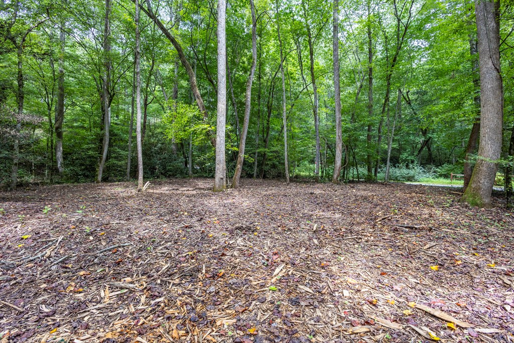 1034 Chestnut Flts Road Andrews, NC 28901 - Photo 6 of 43 a view of outdoor space with trees all around