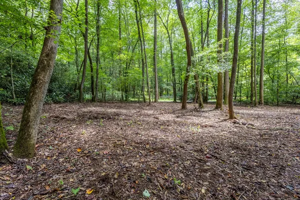 a view of outdoor space with lots of trees