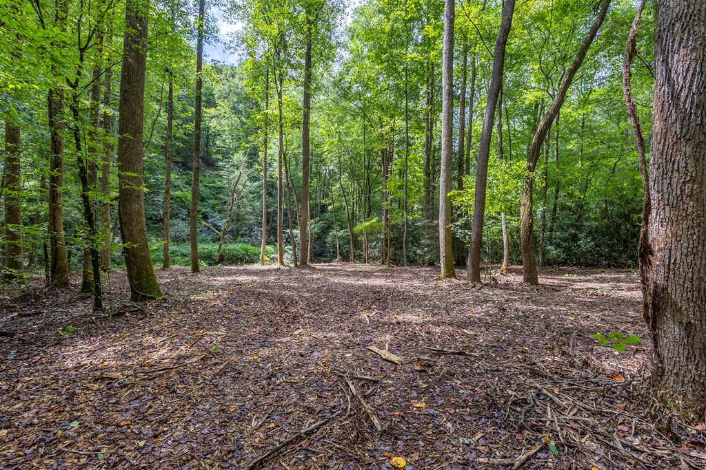 1034 Chestnut Flts Road Andrews, NC 28901 - Photo 8 of 43 a view of a forest with trees in the background