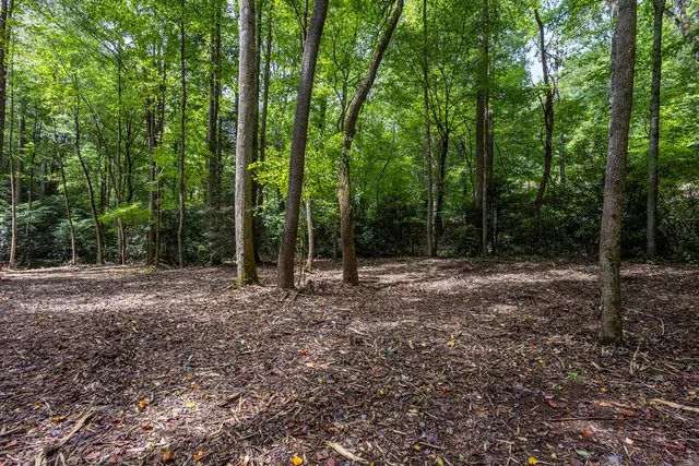 a view of outdoor space with lots of trees