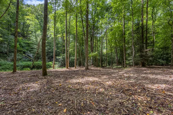 a view of outdoor space with trees