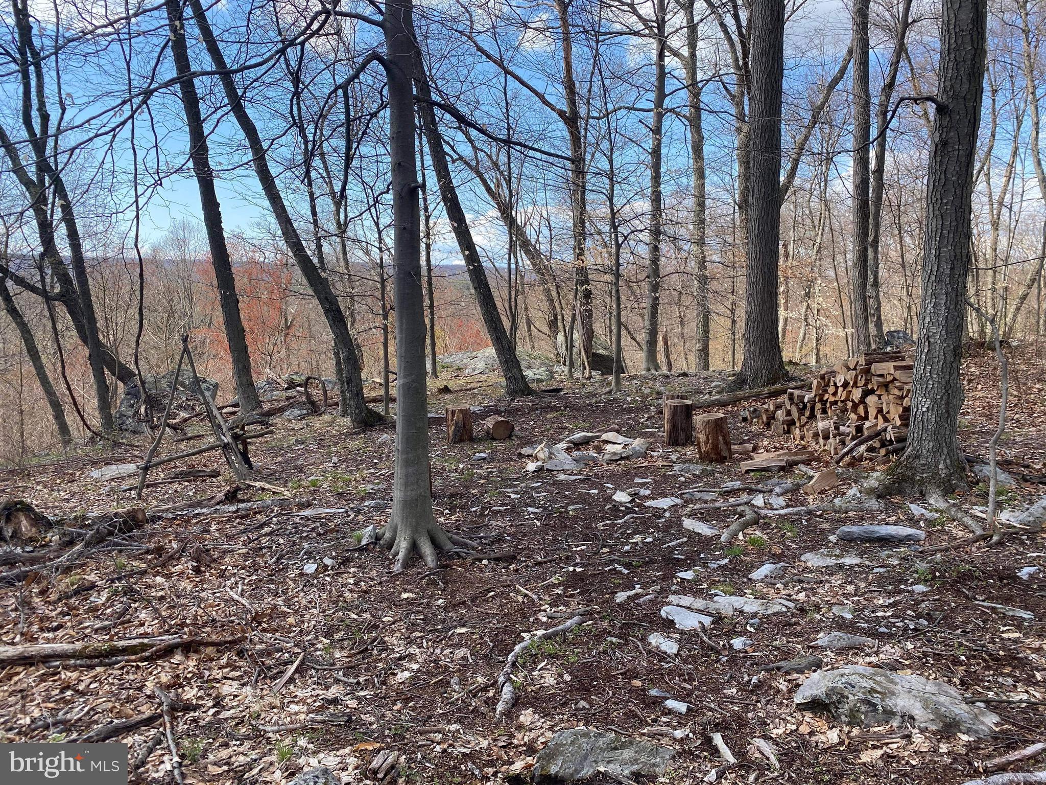 3940 Forrest School Road Smithsburg, MD 21783 - Photo 11 of 17