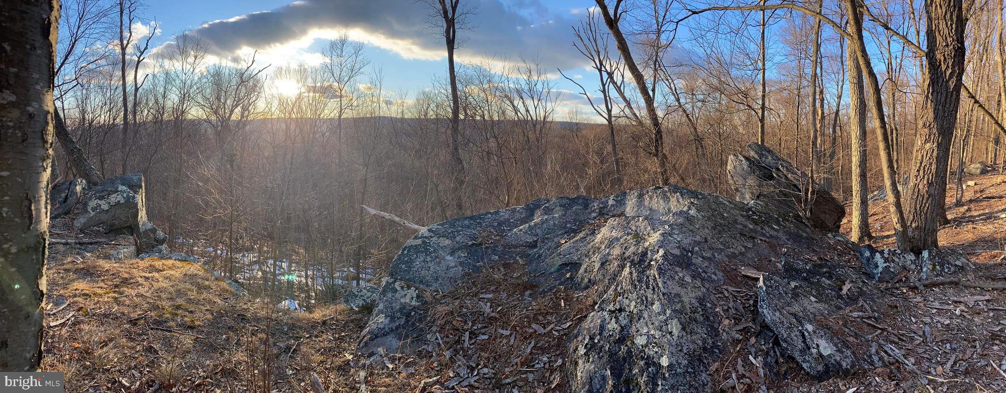 3940 Forrest School Road Smithsburg, MD 21783 - Photo 14 of 17