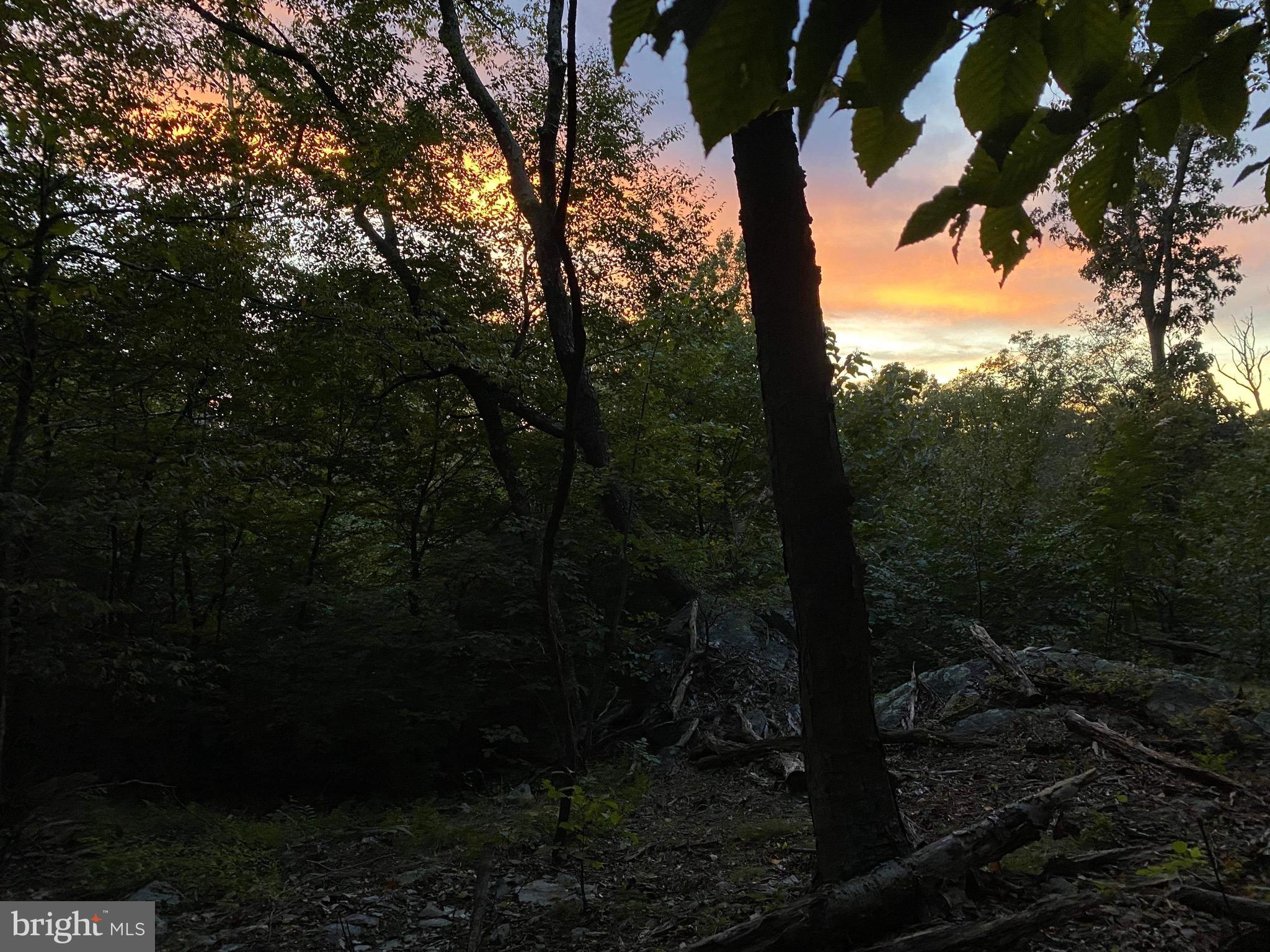 3940 Forrest School Road Smithsburg, MD 21783 - Photo 4 of 17