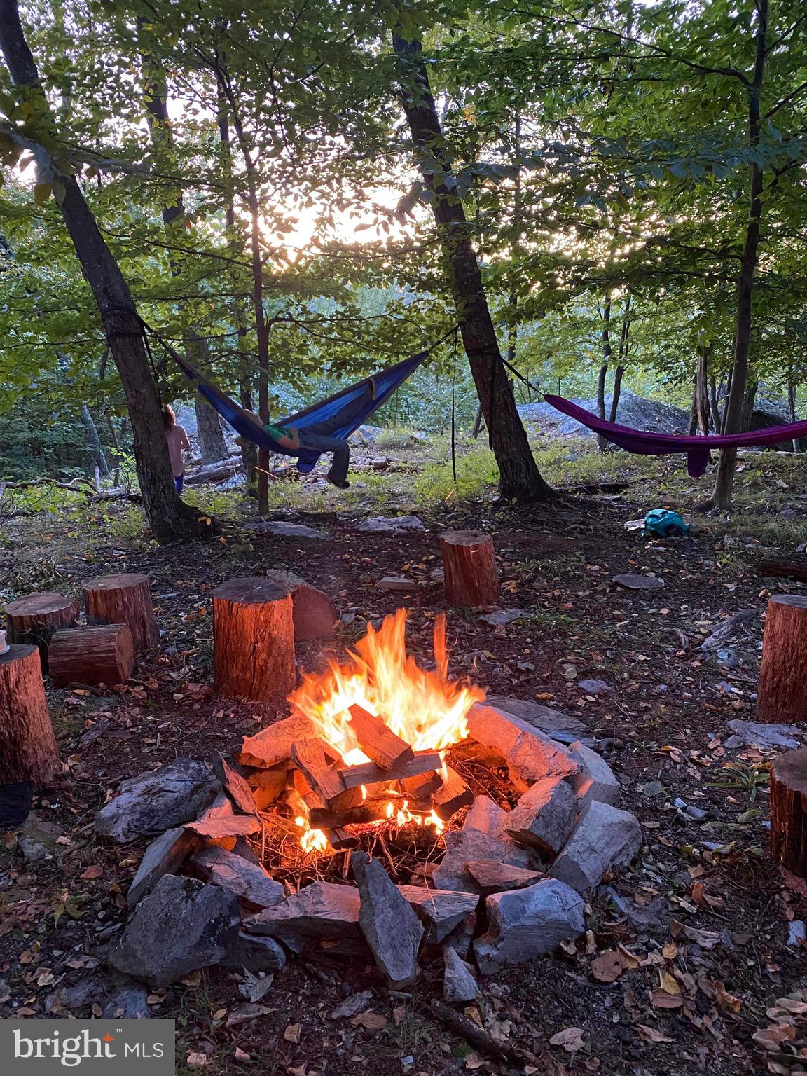 3940 Forrest School Road Smithsburg, MD 21783 - Photo 5 of 17