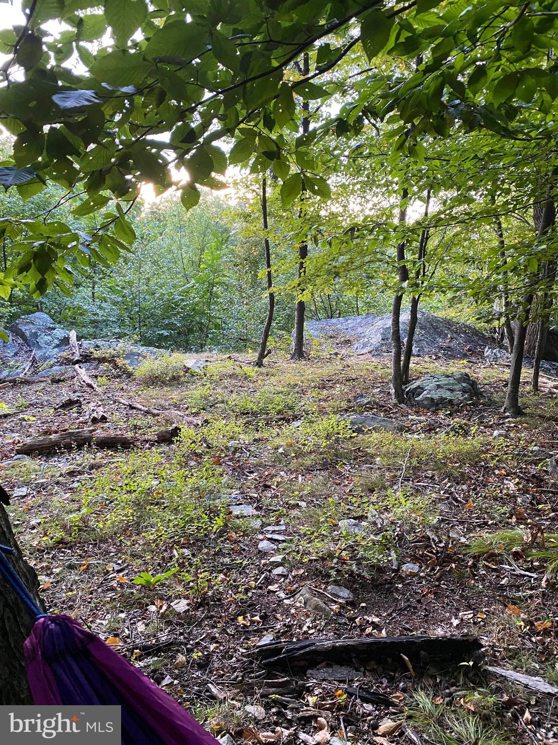 3940 Forrest School Road Smithsburg, MD 21783 - Photo 6 of 17