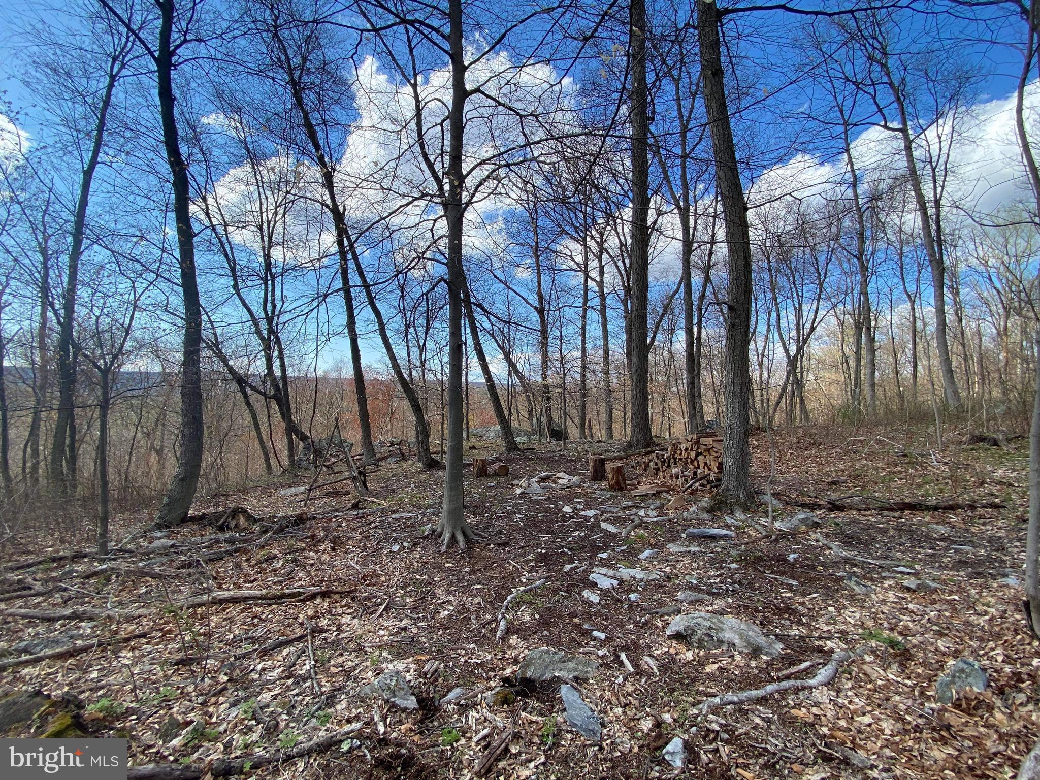 3940 Forrest School Road Smithsburg, MD 21783 - Photo 9 of 17