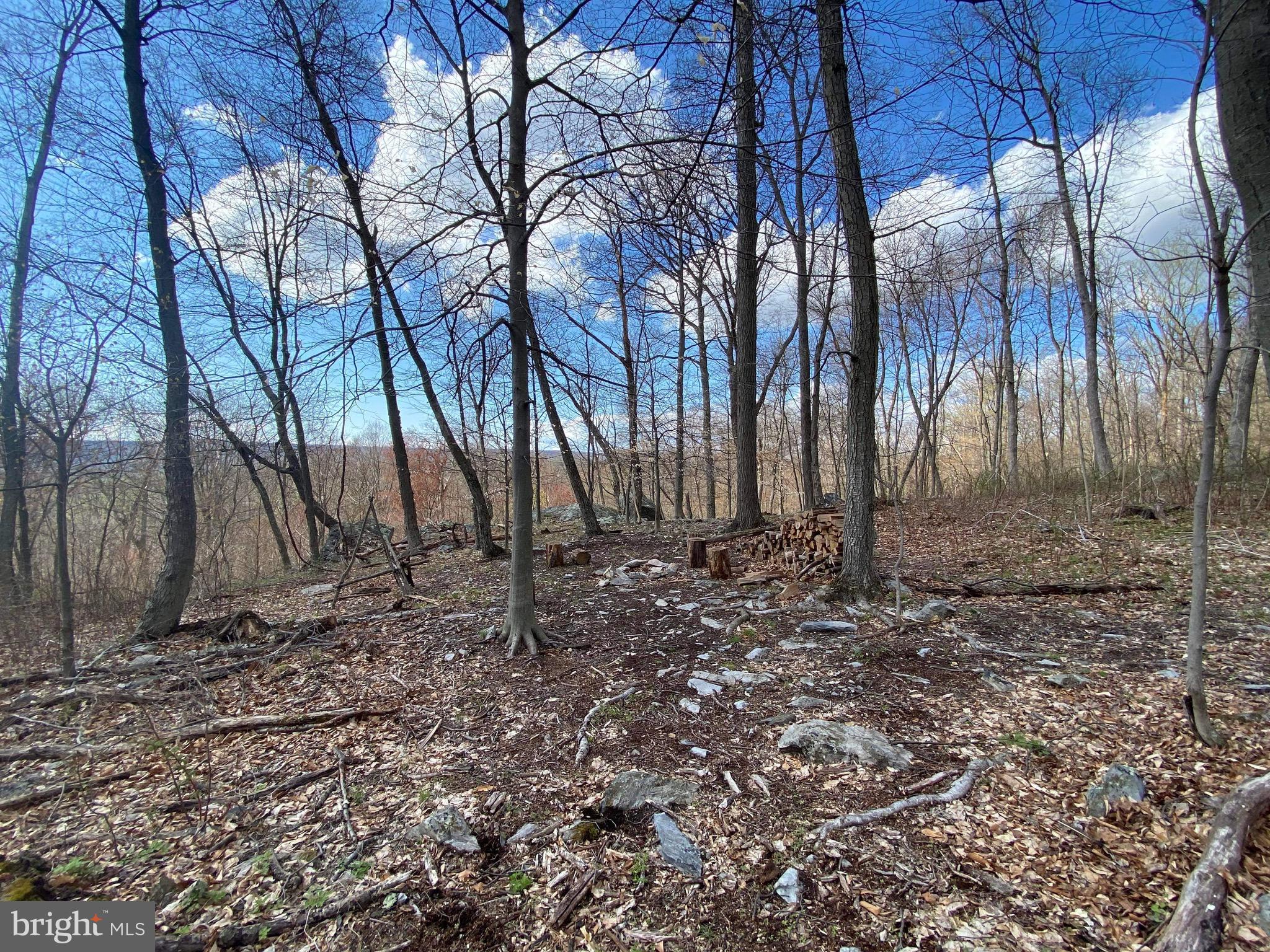 3940 Forrest School Road Smithsburg, MD 21783 - Photo 10 of 17