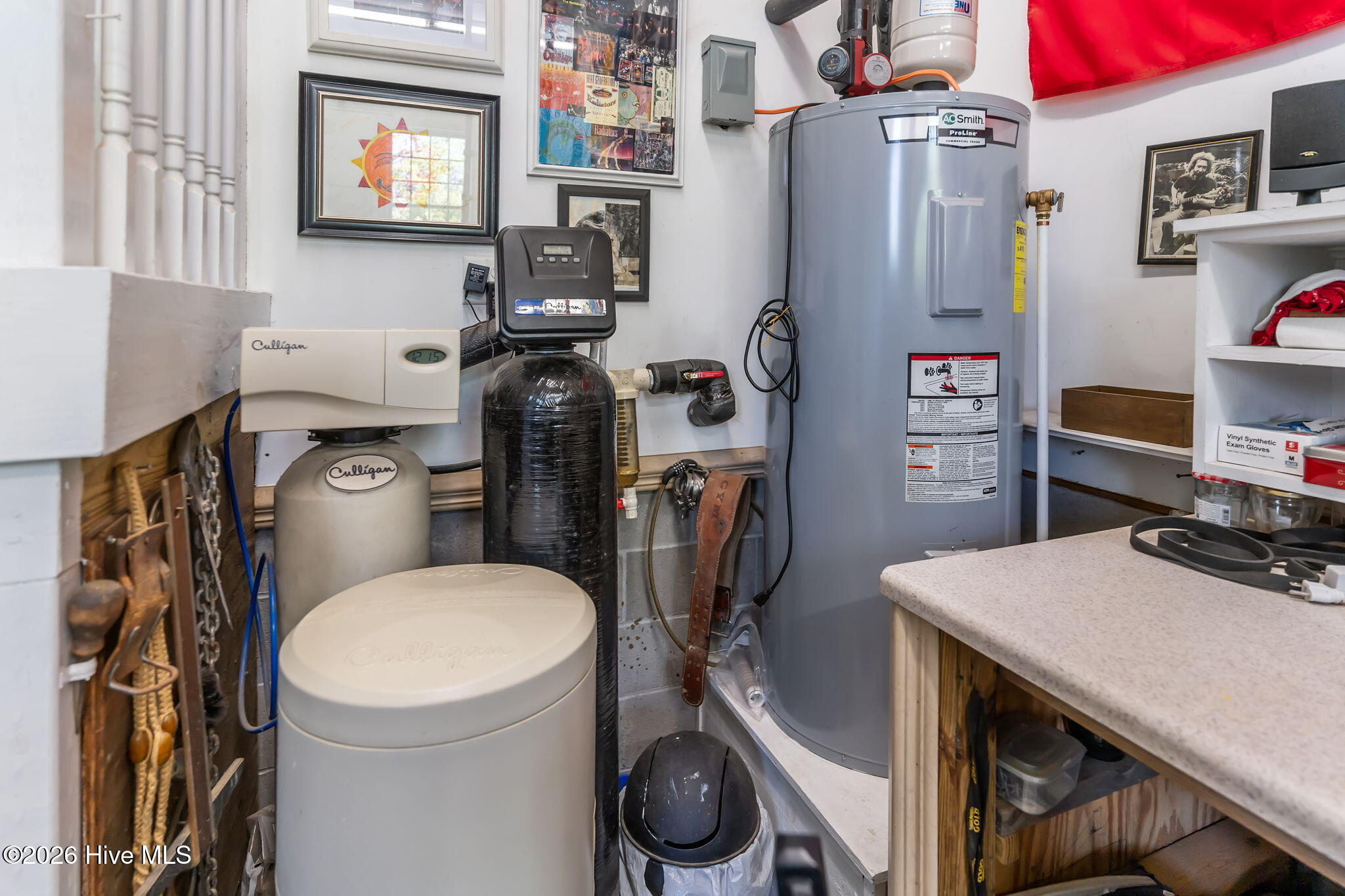 530 North Line Drive Hampstead, NC 28443 - Photo 39 of 67 39-web-or-mls-DSC06513