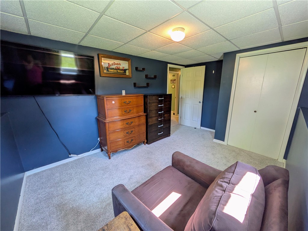 225 Meadowlark Road Horseheads, NY 14845 - Photo 40 of 49 Lower level Bedroom