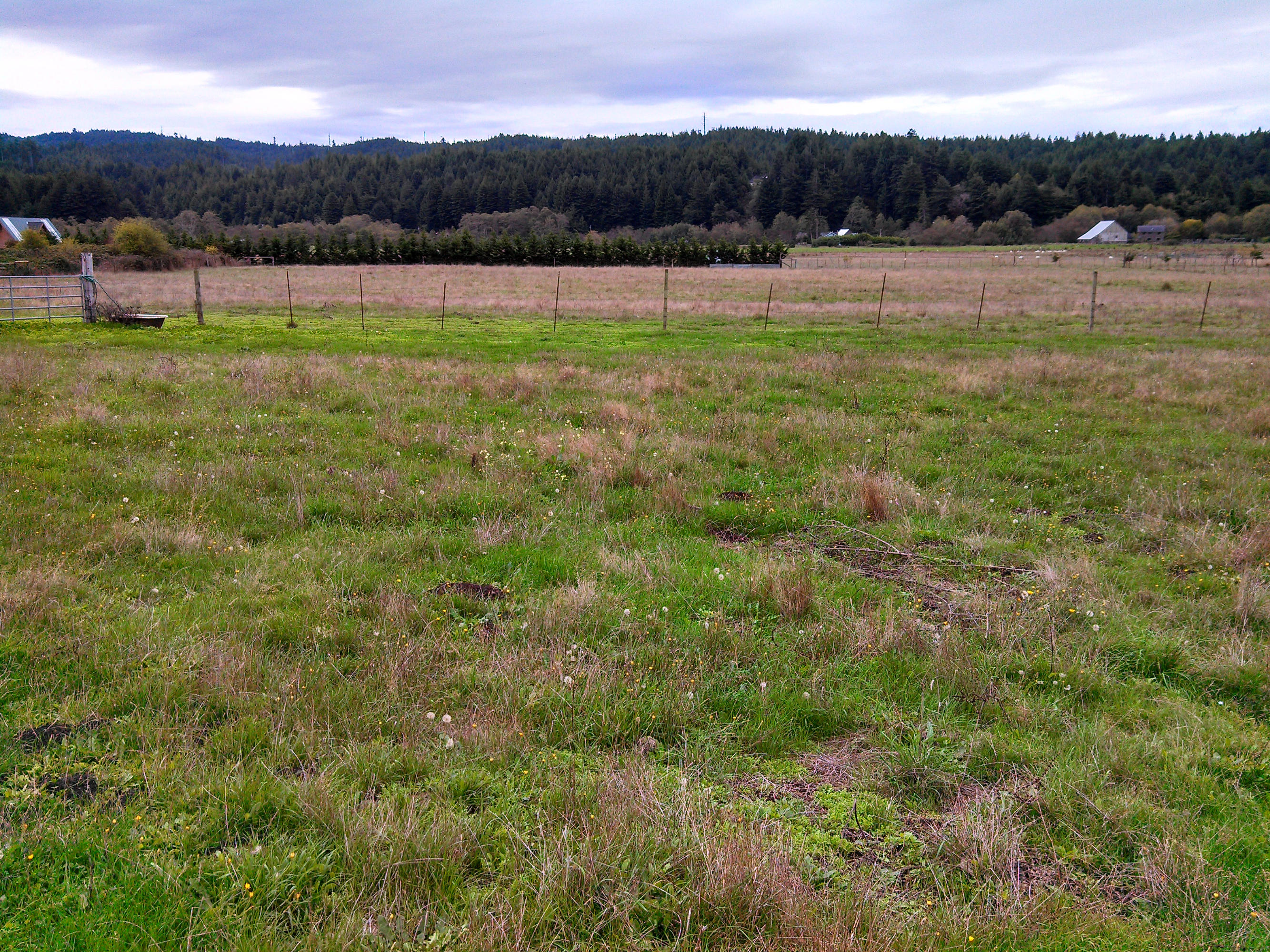 3 Jacoby Creek Road Bayside, CA 95524 - Photo 4 of 8 784