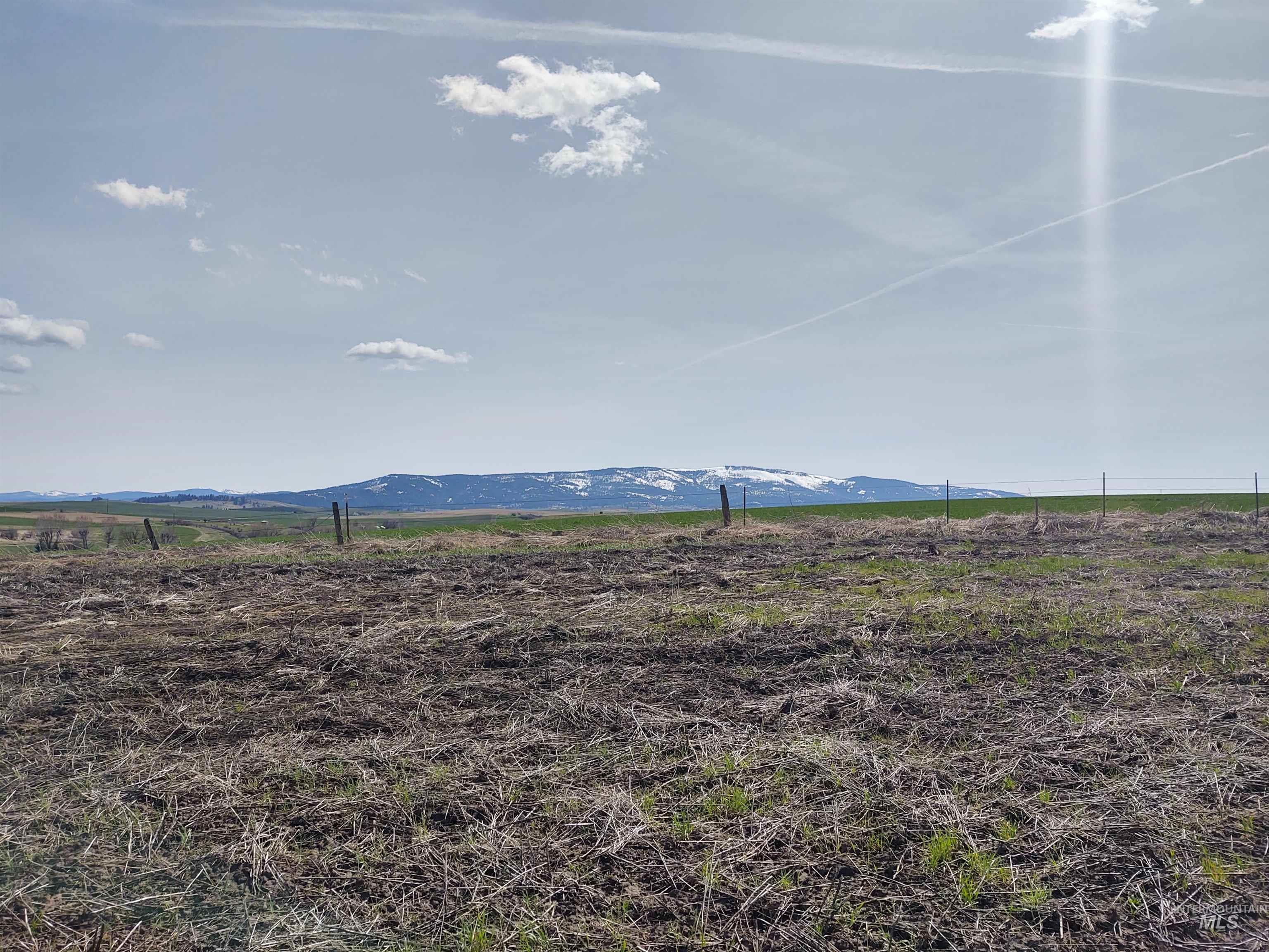 Lot 10 Angus Ranch Road Grangeville, ID 83530 - Photo 4 of 6