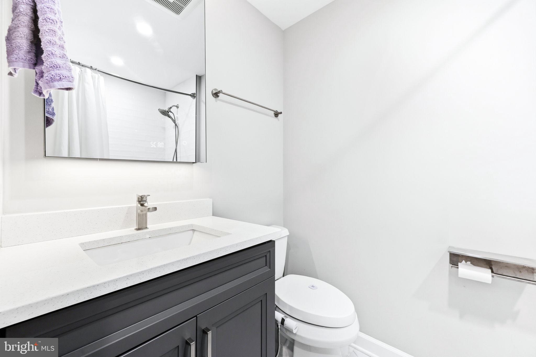 16932 Flickerwood Road Parkton, MD 21120 - Photo 28 of 64 a bathroom with a sink a toilet and mirror