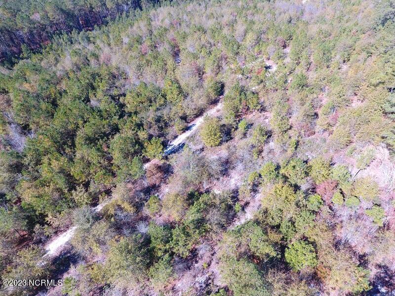 4 Pine Acres Road White Oak, NC 28399 - Photo 2 of 5 IMG_1443