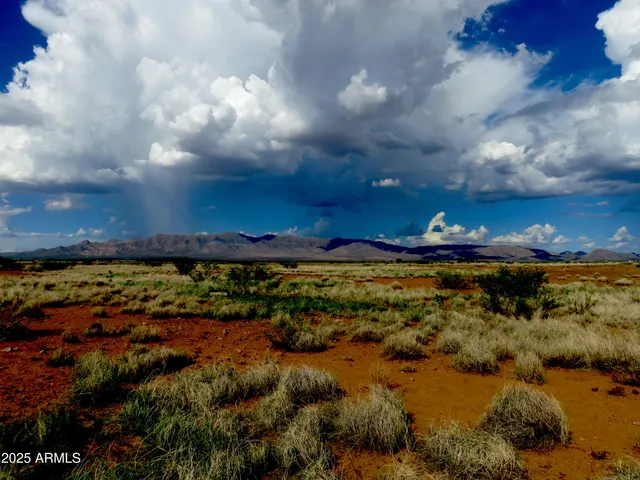 $26,005 | Tbd North Ee Ranch Road, Unit 4, McNeal, AZ 85617