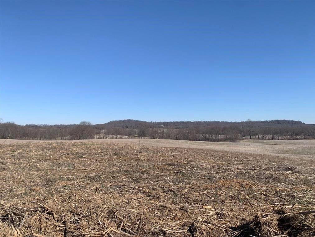 Lot 9 Rocky Hill Road Bowling Green, KY 42101 - Photo 6 of 14 Gallery Image 6