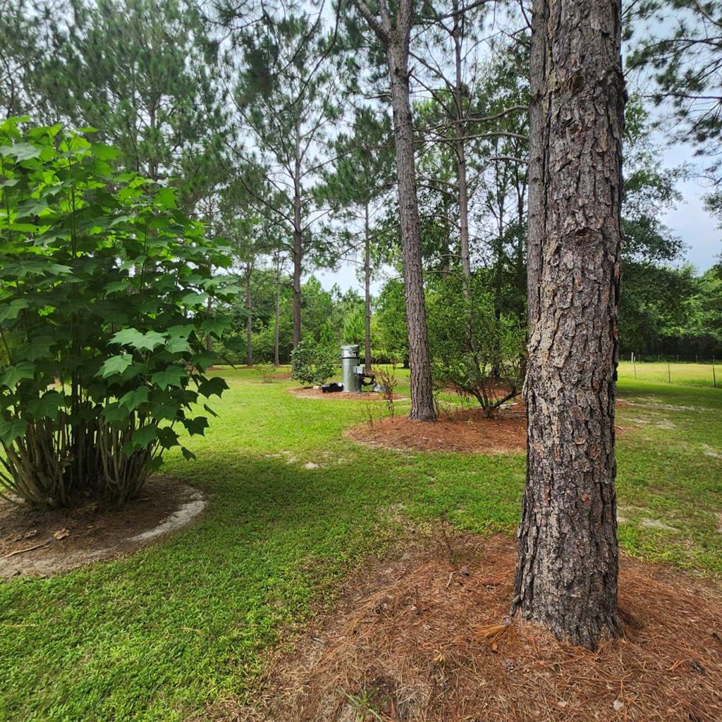 786 Blackberry Road Baconton, GA 31716 - Photo 43 of 67 Gallery Image 43