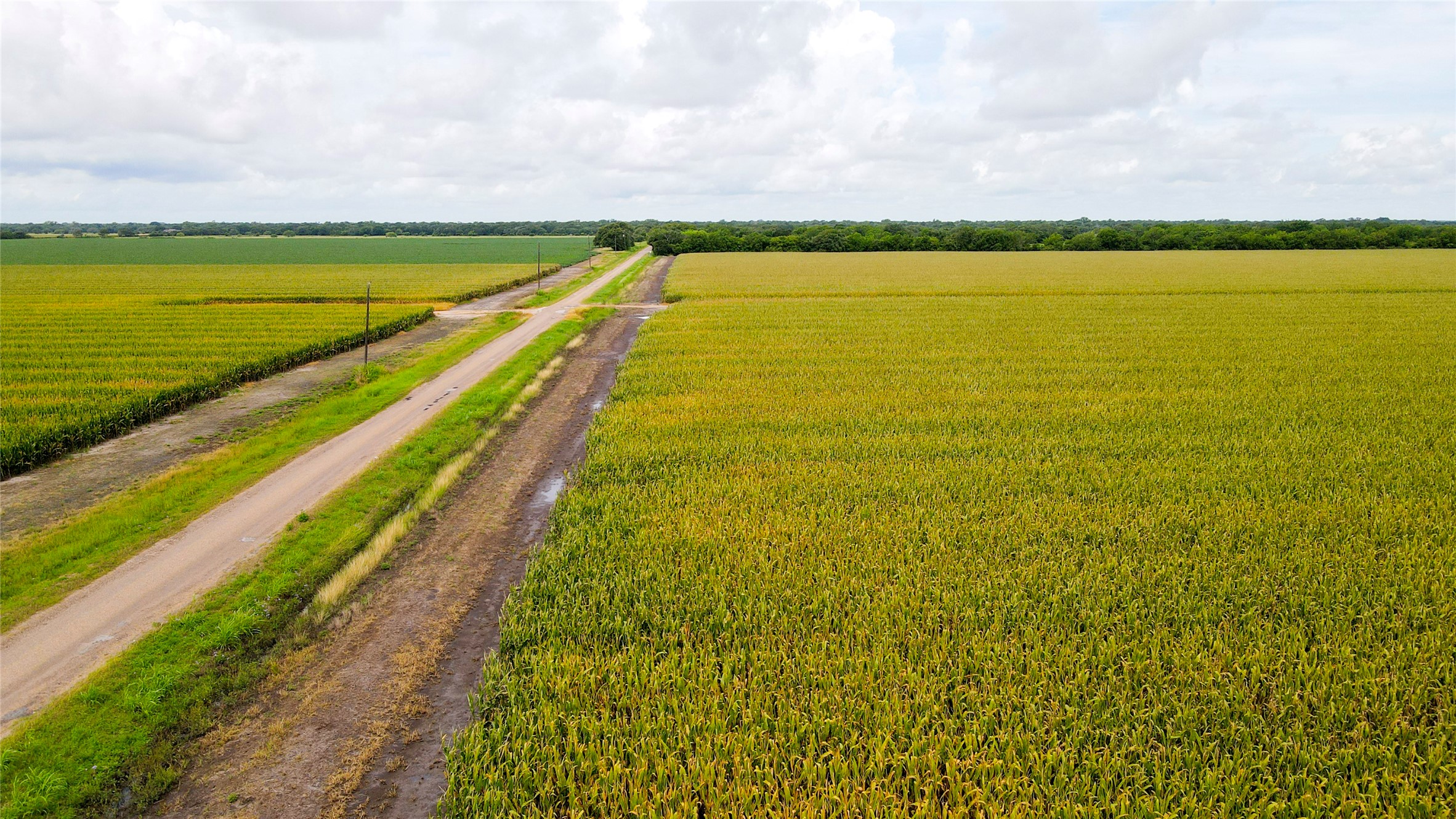 0 County Road 384 Louise, TX 77455 - Photo 11 of 20 a view of an ocean and beach