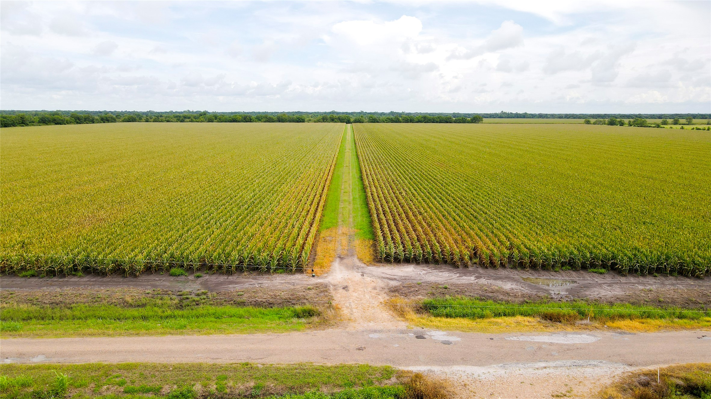 0 County Road 384 Louise, TX 77455 - Photo 12 of 20 a view of a lake with a big yard