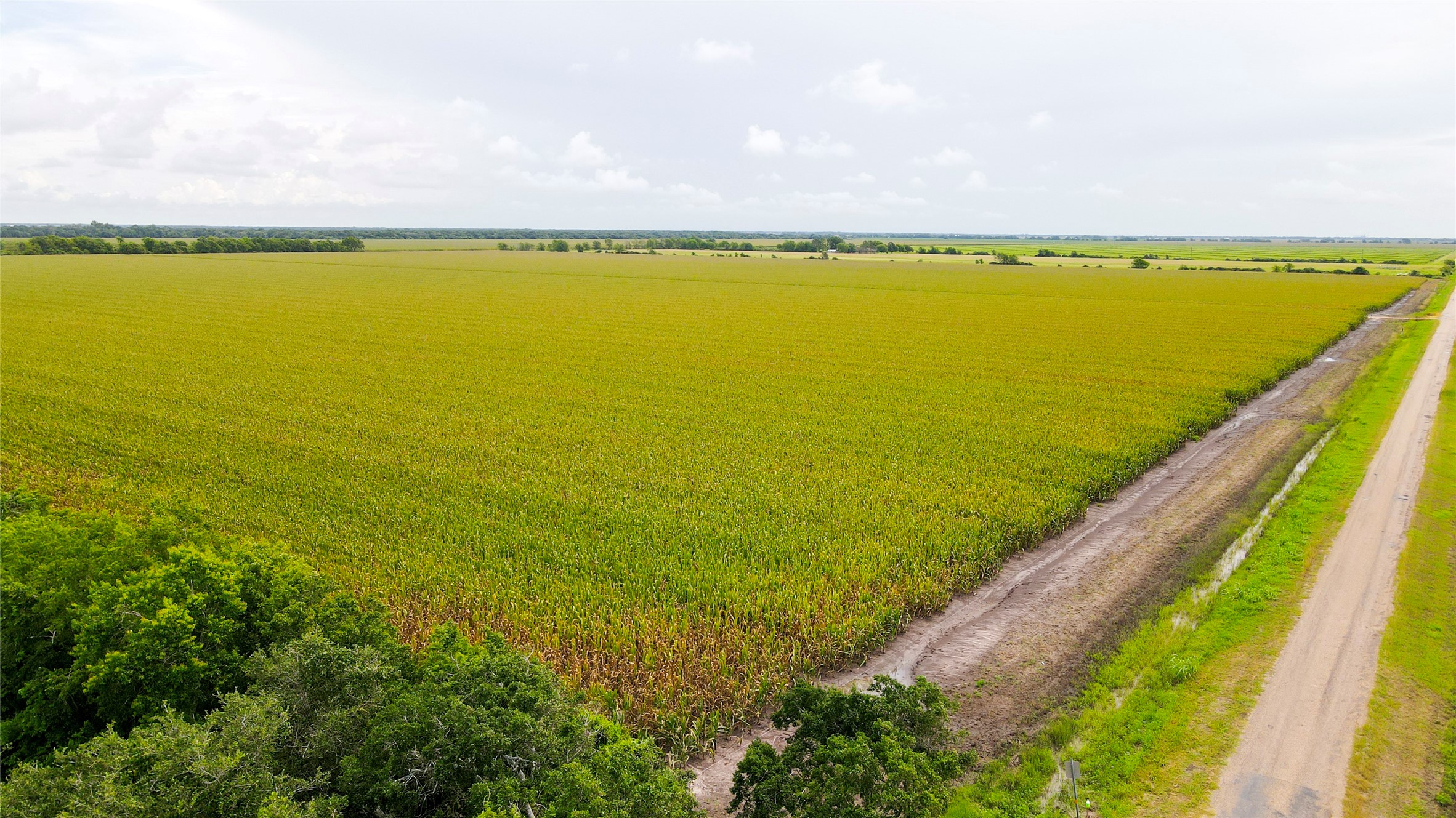 0 County Road 384 Louise, TX 77455 - Photo 13 of 20 a view of an ocean from a balcony